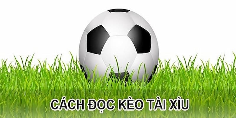 Cách đọc kèo bóng tài xỉu